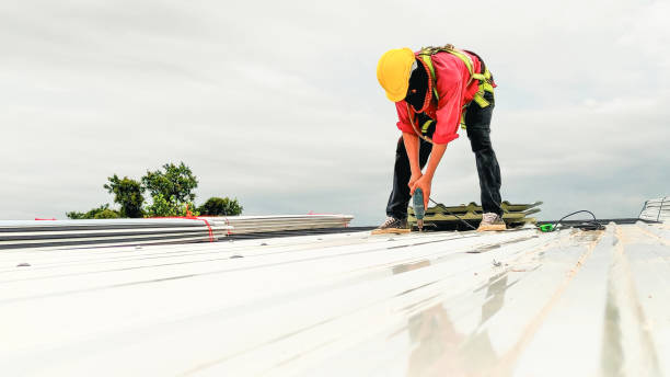 Best Commercial Roofing Services  in Wapakoneta, OH