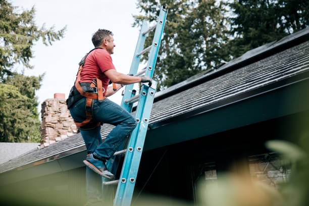 Steel Roofing in Wapakoneta, OH